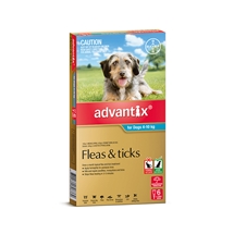 Advantix Dog 4-10Kg Blue 6 Pack