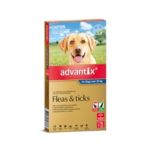 Advantix Dog over 25kg Grey 6 Pack