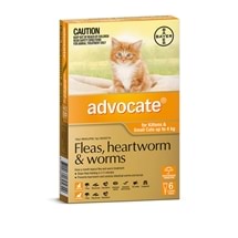 Advocate Cat Up To 4Kg Orange 6 Pack