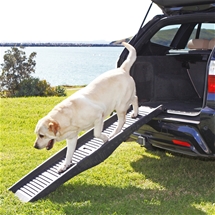 Compact Folding Dog Ramp
