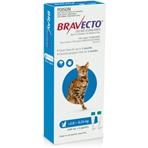 Bravecto Cat Spot On 2.8-6.25kg 2pk
