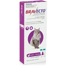 Bravecto Cat Spot On 6.25-12.5kg 2pk