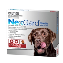 NexGard 25.1-50kg 6 Pack
