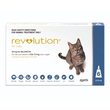 Revolution Cat 6 Pack