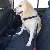 Dog Harness for Car - Medium