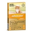 Advocate Cat 3 Pack_BAY0120_0