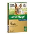 Advantage Dog 6 Pack_DHA0040_3