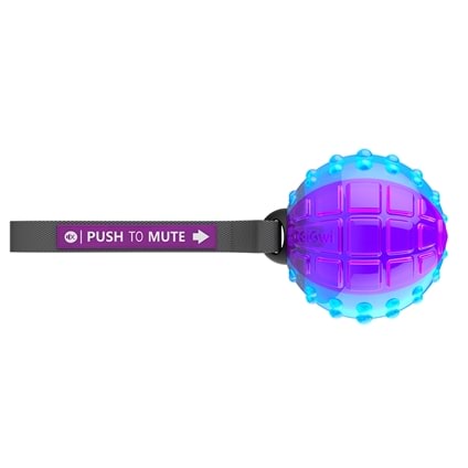 Push to Mute Ball Dog Toy - House of Pets
