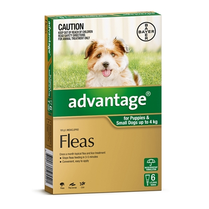Advantage Dog 6 Pack